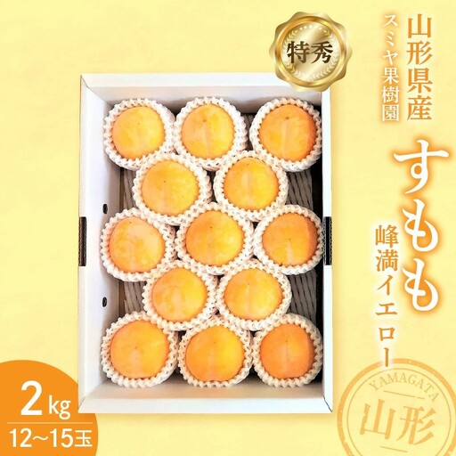 すもも（峰満イエロー）２ｋｇ　特秀品　0047-2608