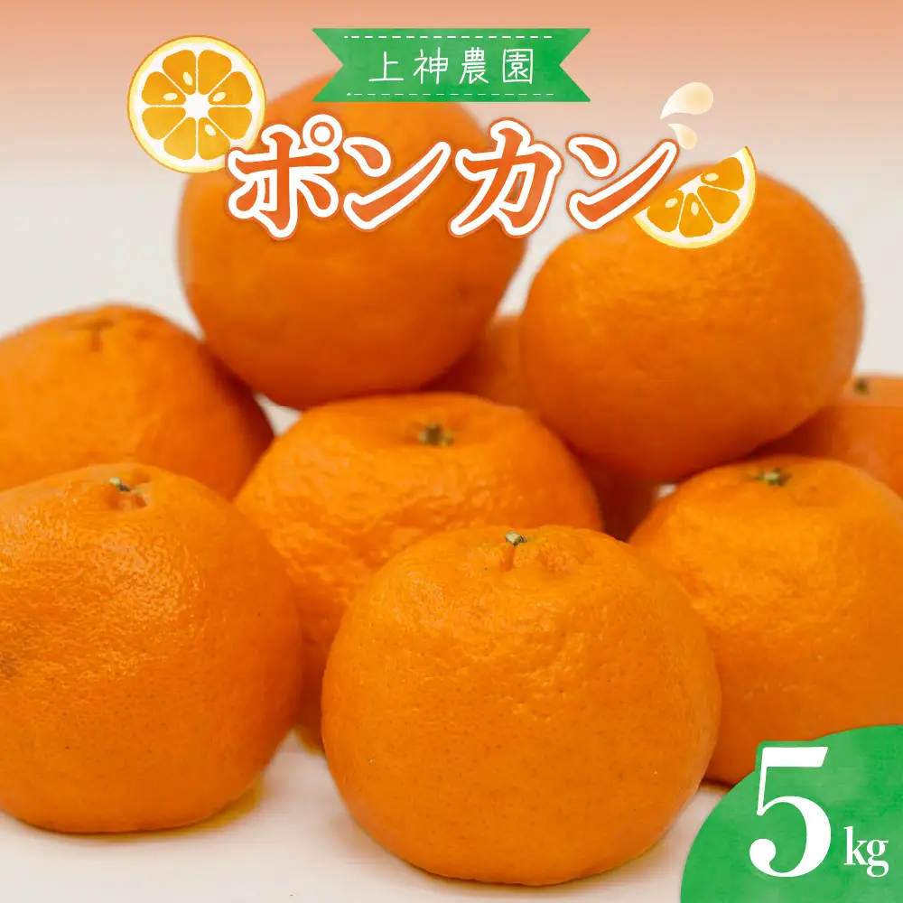 先行受付 2027年1月中旬～発送 ポンカン 約5kg 上神農園