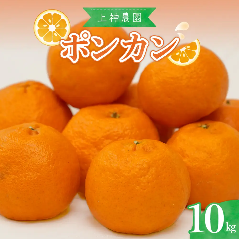 【先行受付】【2027年1月中旬～発送】上神農園のポンカン 約10kg 