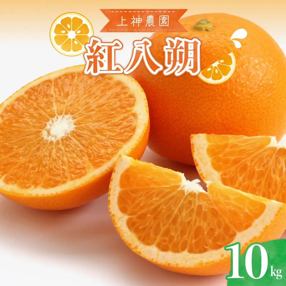 先行受付 2027年3月上旬～発送 紅八朔 約10kg はっさく 柑橘