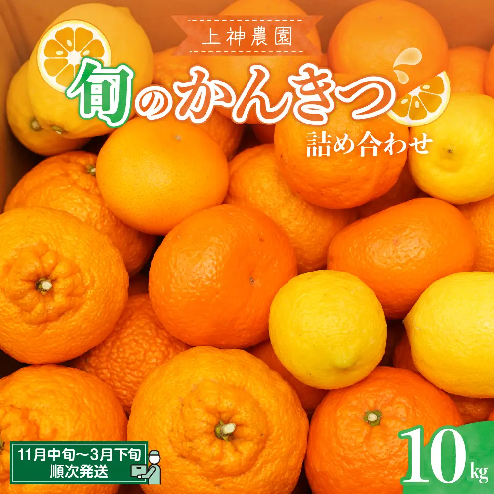 【先行受付】【2026年11月中旬～発送】上神農園 旬の柑橘詰め合わせ約10kg