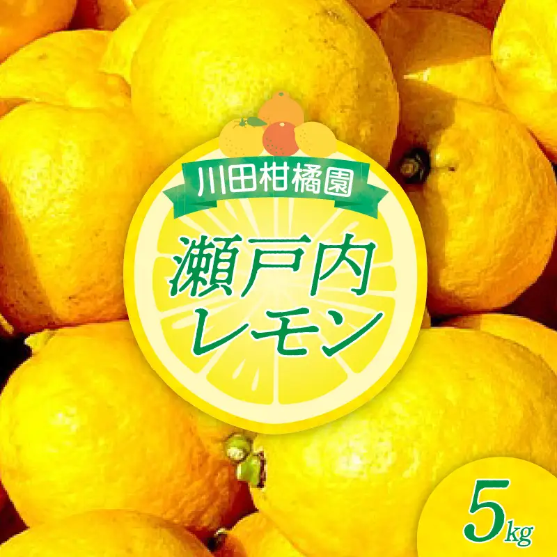 【先行受付】【2027年1月上旬～発送】川田柑橘園 広島県産 「瀬戸内レモン」5kg　れもん 檸檬 国産 広島県 呉市 ku055-015-26