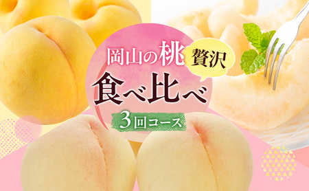 桃 定期便 2026年 先行予約 岡山 の 桃 食べ比べ 3回コース 岡山県産 桃