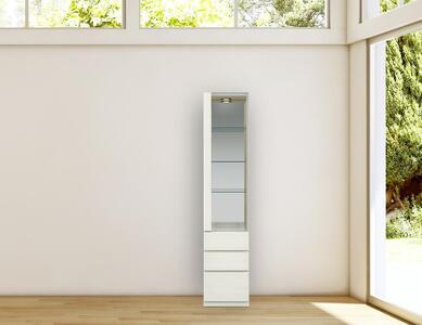 ヴァイス 幅40cm コレクションボード コレクション棚 右開き 壁面収納 リビング収納 ガラス棚 高級 大川家具 LEDライト【開梱設置】