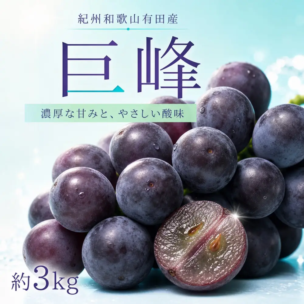 紀州有田産の巨峰ぶどう約３kg【先行予約】【2026年8月下旬以降発送予定】  巨峰