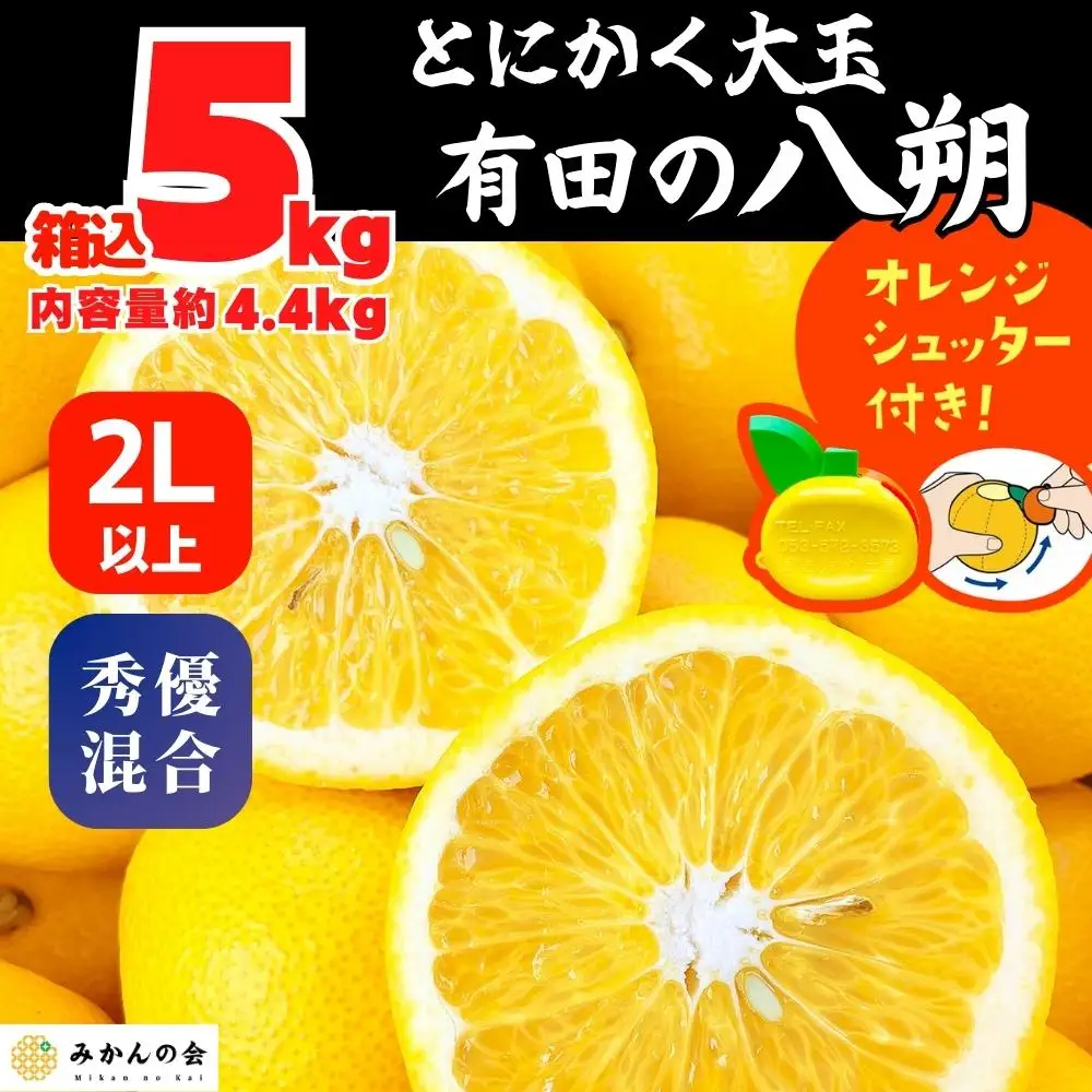 八朔 (はっさく) とにかく 大玉 どっこいしょ 箱込 5kg (内容量約 4.4kg) 秀品 優品 混合 2Lサイズ以上 和歌山県産  産地直送［みかんの会］