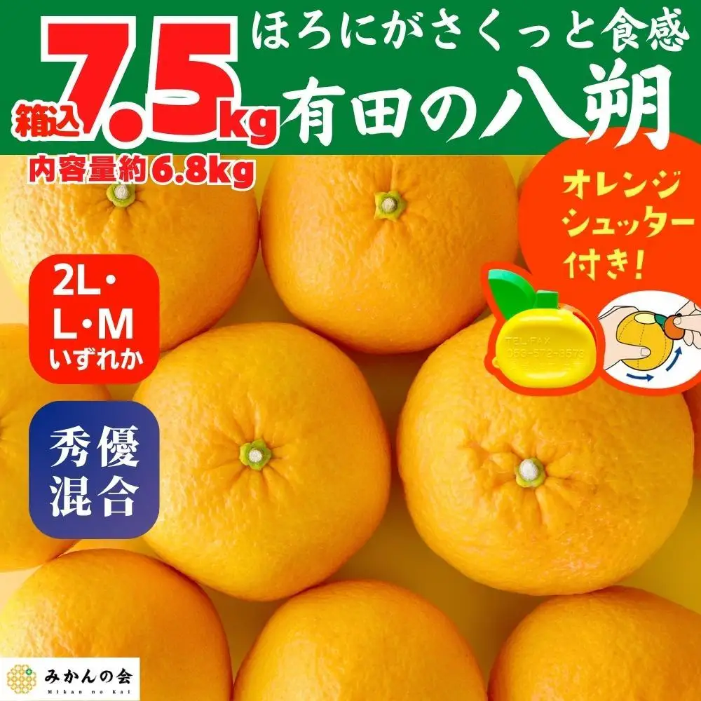 八朔 (はっさく) 玉ぞろい 箱込 7.5kg(内容量約 6.8kg) 2L L Mサイズのいずれか 秀品 優品 混合 和歌山県産  産地直送［みかんの会］