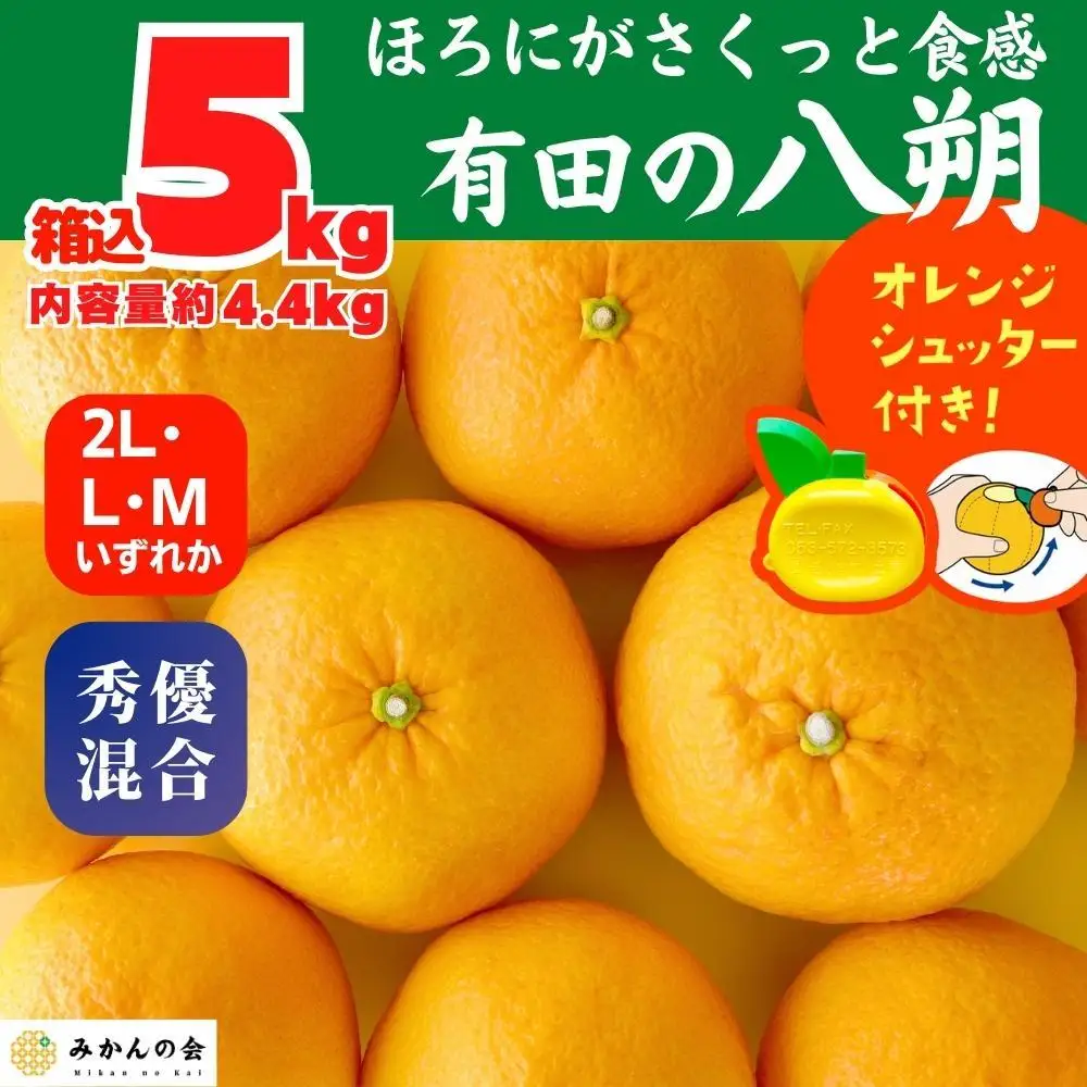 八朔 (はっさく) 玉ぞろい 箱込 5kg(内容量約 4.4kg) 2L L Mサイズのいずれか  秀品 優品 混合 和歌山県産  産地直送［みかんの会］