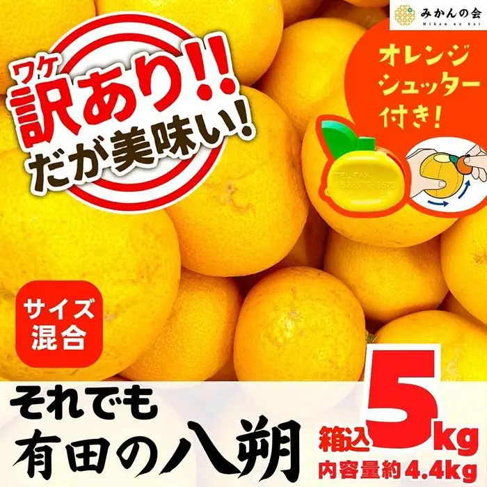 八朔 訳あり それでも 有田の八朔  (はっさく) 箱込 5kg (内容量約 4.4kg) サイズミックス B品 和歌山県産  産地直送［みかんの会］