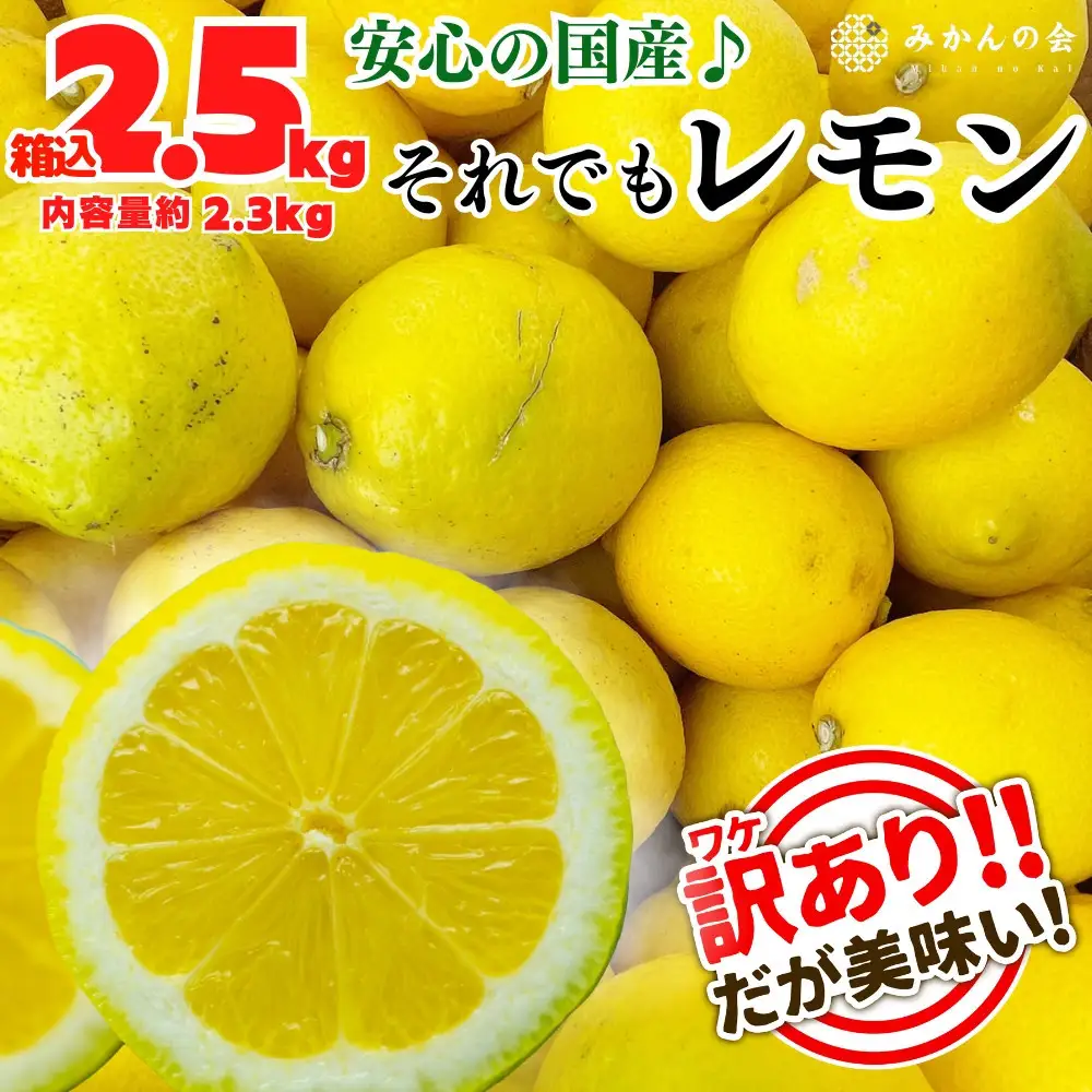 訳あり レモン B品  箱込2.5kg(内容量約2.3kg) 和歌山県有田産（サイズミックス）【みかんの会】