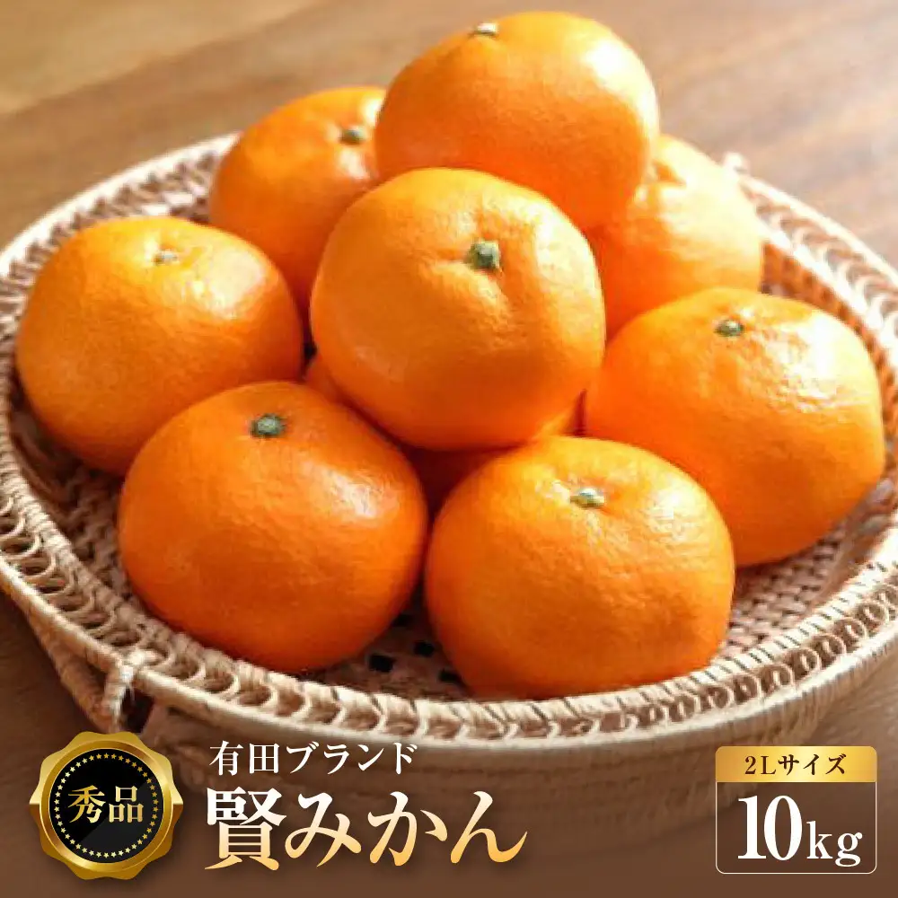 [秀品]有田のブランド「賢みかん」10kg(2Lサイズ)［2026年11月中旬頃より順次発送］