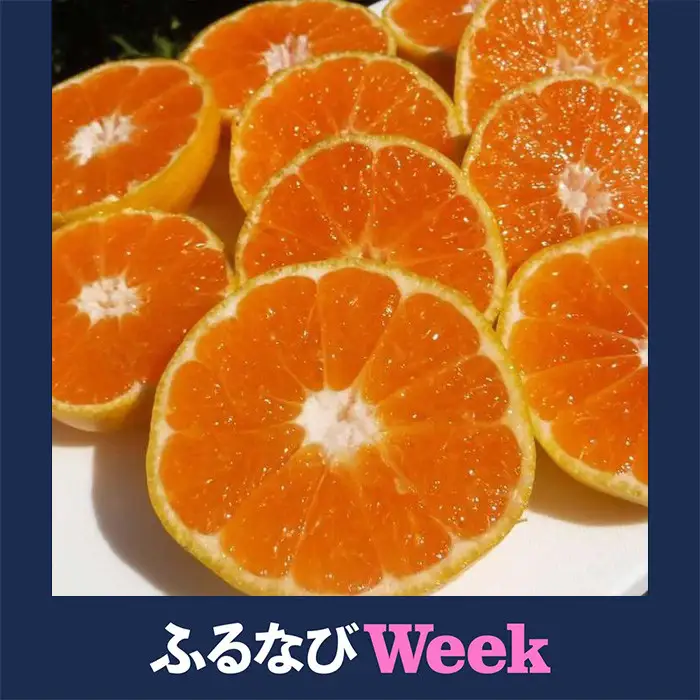 【ふるなびWEEK対象】みかん 2.5kg  ご家庭用　和歌山県有田川町産　有田みかん ありだみかん