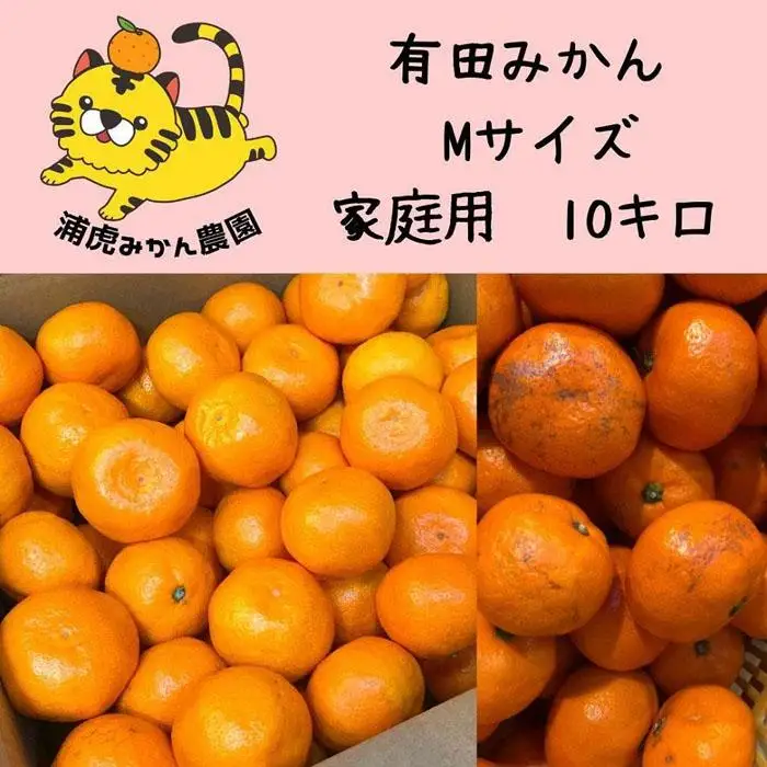 12/25までにご入金確認分は年内発送確定！訳あり温州みかん 家庭用 箱込み 10kg (Mサイズ指定)