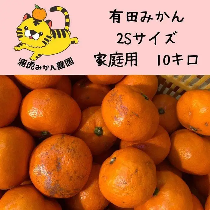 12/25までにご入金確認分は年内発送確定！訳あり温州みかん 家庭用 箱込み10kg（SSサイズ） 小さなミカンが好きな人におすすめ