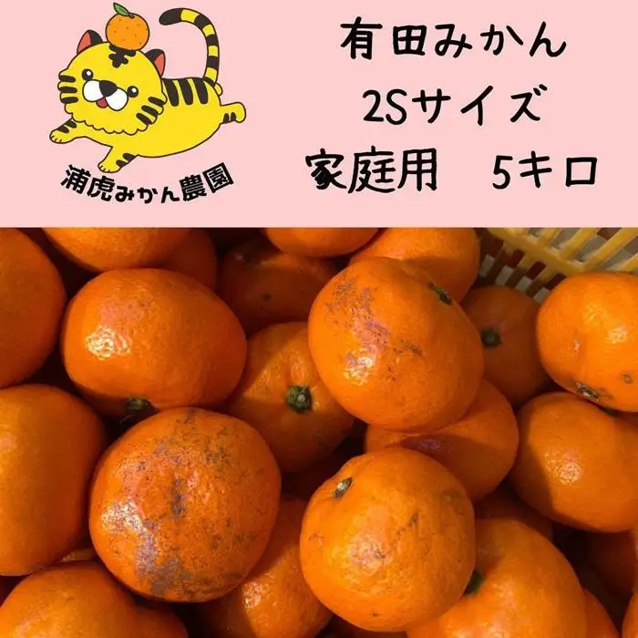 12/25までにご入金確認分は年内発送確定！訳あり温州みかん 家庭用 箱込み 5kg（SSサイズ）小さなミカンが好きな人におすすめ