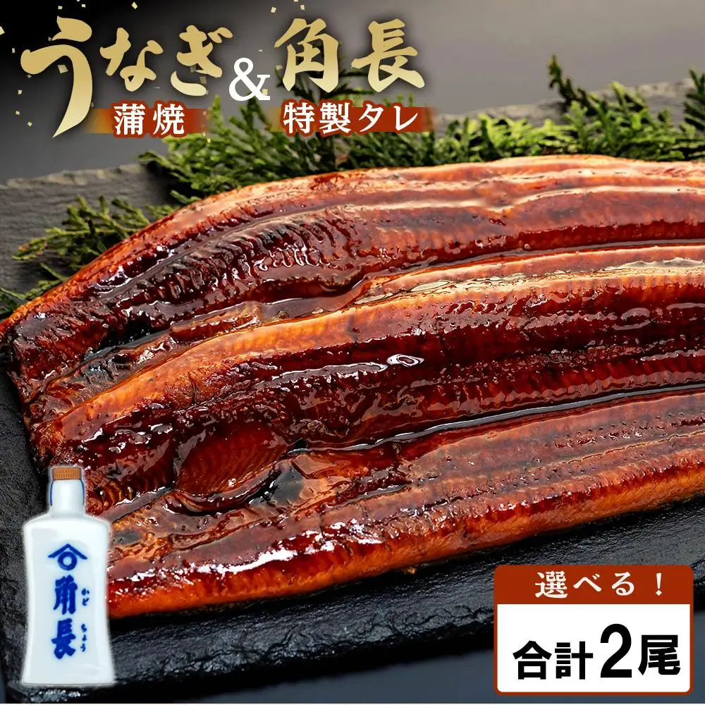 うなぎ 蒲焼 2尾 ＆ タレ1本｜うなぎ 