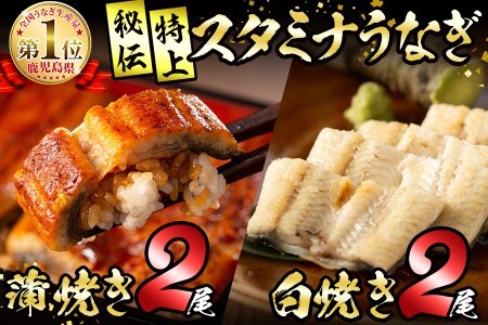秘伝の特上スタミナうなぎ　白焼きセット c6-008
