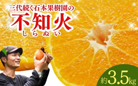 不知火 石本果樹園 約3.5kg 約8～12玉前後 不知火【min002B】