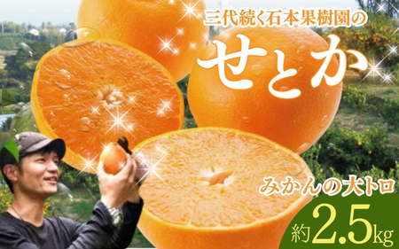 せとか 石本果樹園 約2.5kg 約9～15玉前後 せとか【min004A】