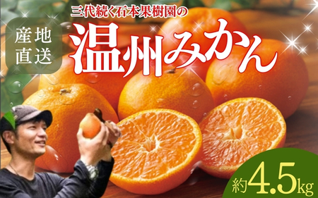 みかん 石本果樹園  約4.5kg 約35～40玉前後 温州みかん【min005B】