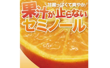 セミノール 石本果樹園 約4kg 約30～35玉前後 セミノール【min008B】