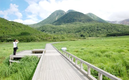 ガイドと楽しむタデ原(たでわら)湿原 のんびり散策チケット 1枚 6名様
