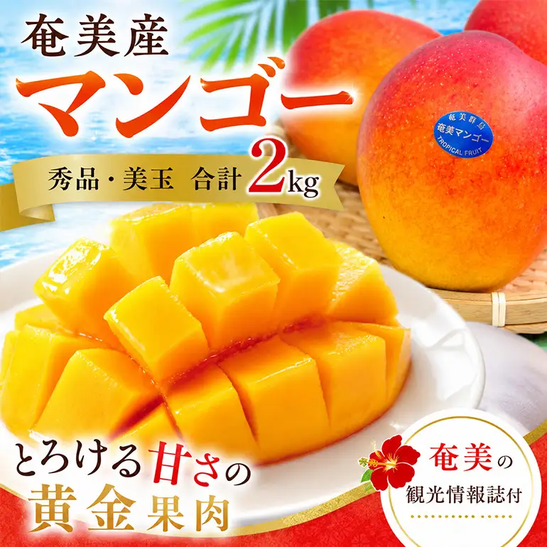 【2026年 観光雑誌付き】奄美産マンゴー 秀品・美玉2kg とろける甘さの黄金果肉 樹上完熟 A052-020