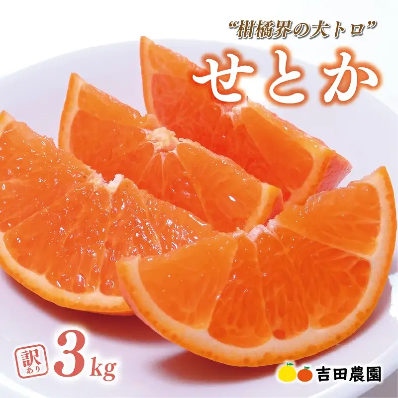 【先行予約】訳あり せとか 3kg みかん 柑橘 オレンジ フルーツ 愛媛 愛南 吉田農園