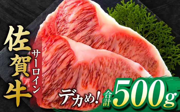 佐賀牛 サーロインステーキ 500g 黒毛和牛ステーキ[FDB010]