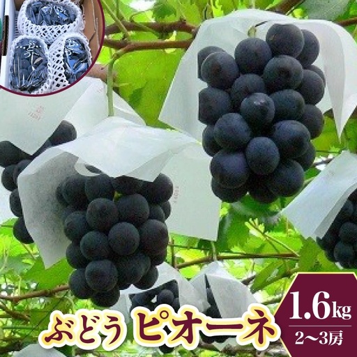 ぶどう（ピオーネ）１.６ｋｇ　0009-2602