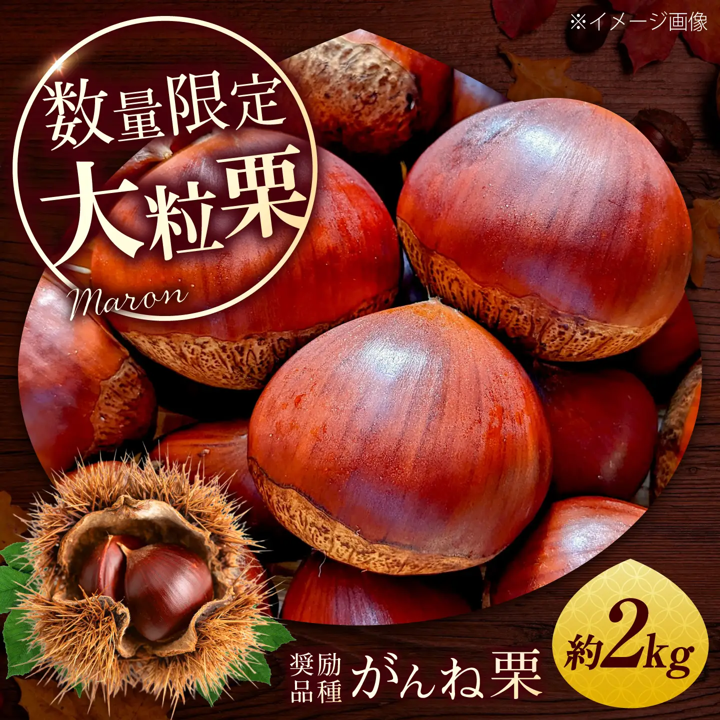 岸根栗 がんねぐり 約2kg BUCF004 栗