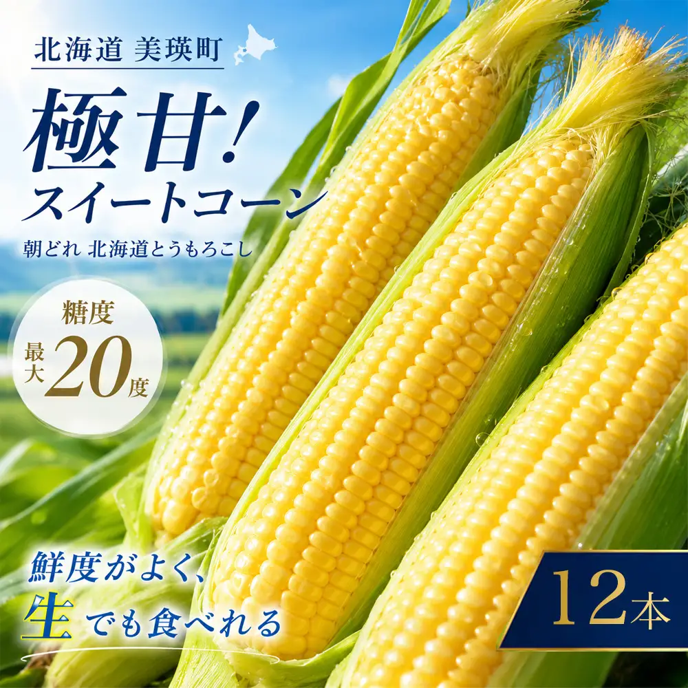 とうもろこし 【先行予約】ほしつぶコーン 12本 とうもろこし 北海道 スイートコーン