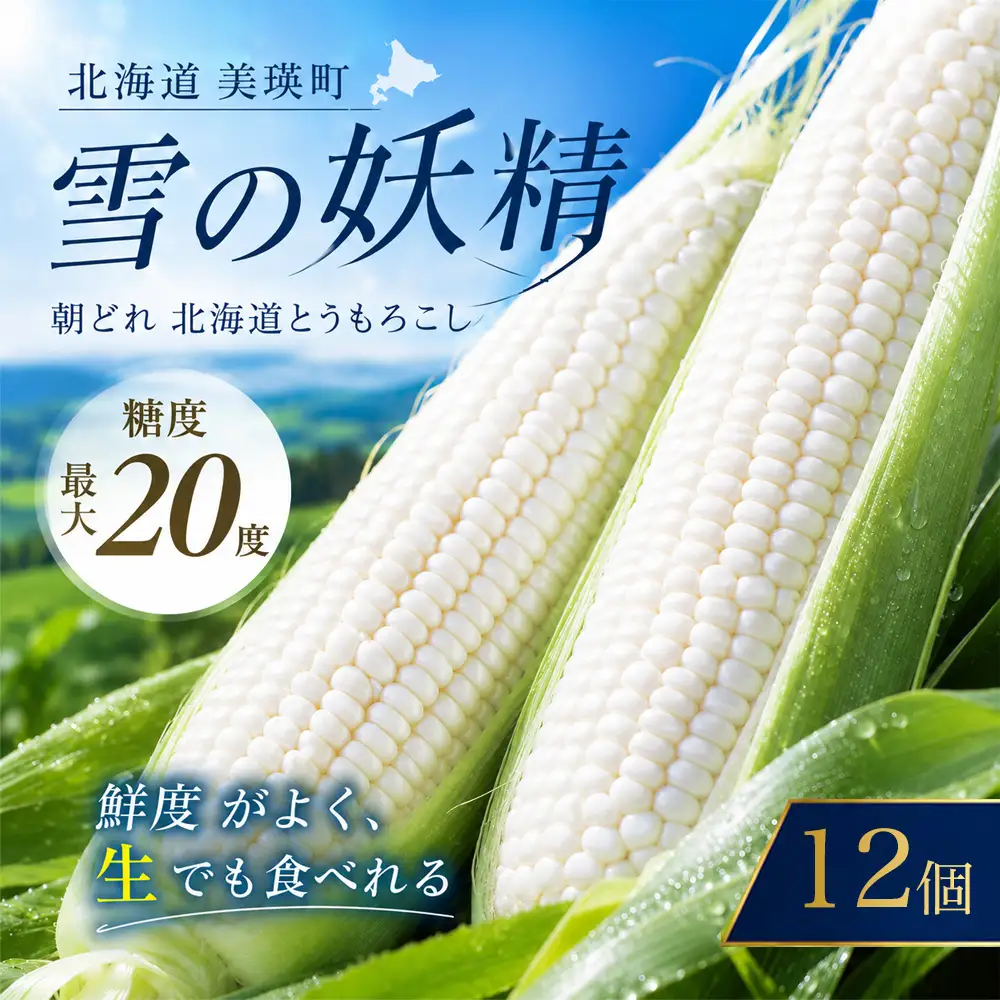 【先行予約】 とうもろこし 雪の妖精 12本 白 とうもろこし 北海道