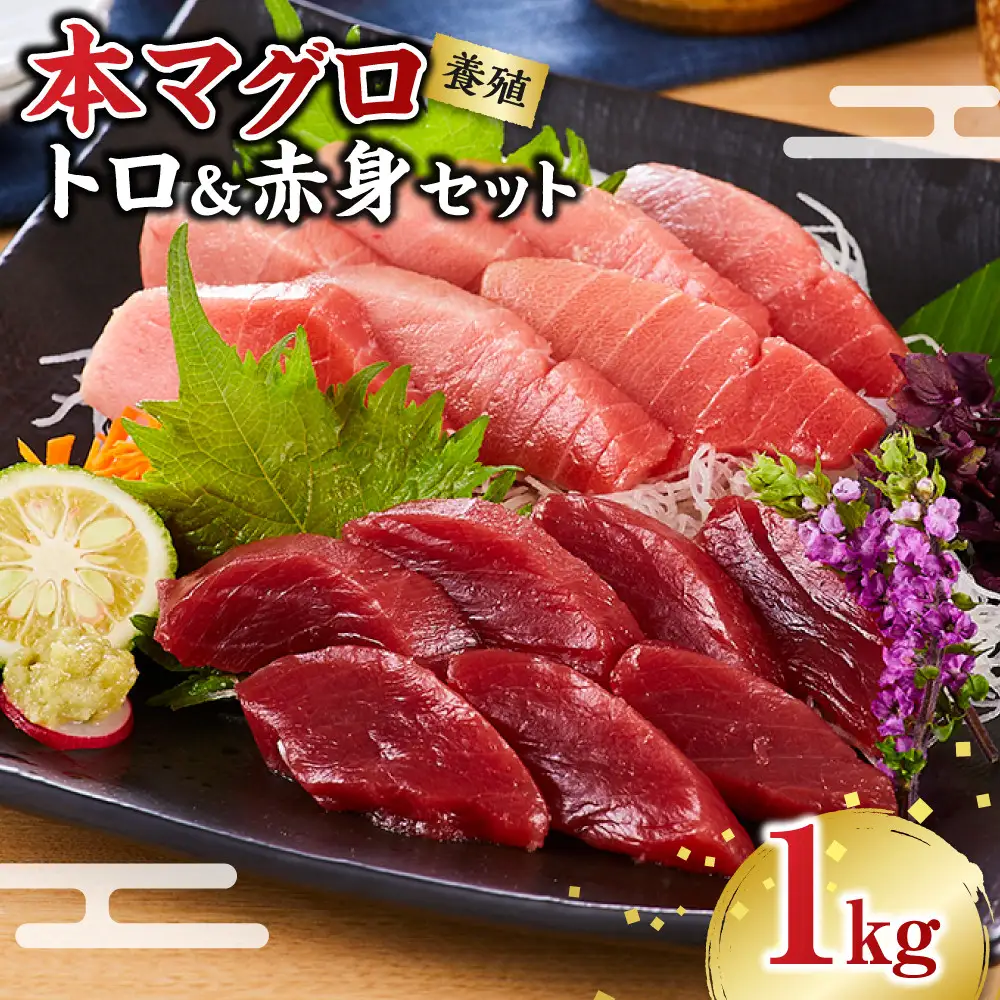 本マグロ（養殖）トロ＆赤身セット 1kg［KS13］