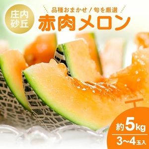 SA2931　庄内砂丘 『赤肉メロン』　約5kg(3～4玉入) 品種おまかせ