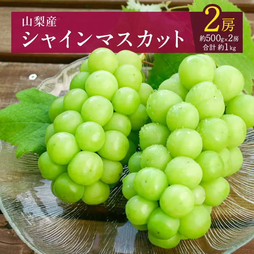 【2026年発送 】シャインマスカット 2房 (約1kg) 山梨県産フルーツ 人気のぶどう【配送不可地域：離島・沖縄県】【1017347】