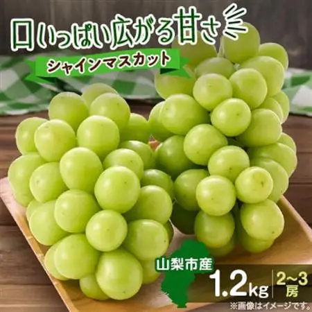 【2026年発送】やみつきシャインマスカット 1.2kg (2～3房)【配送不可地域：離島】【1304362】