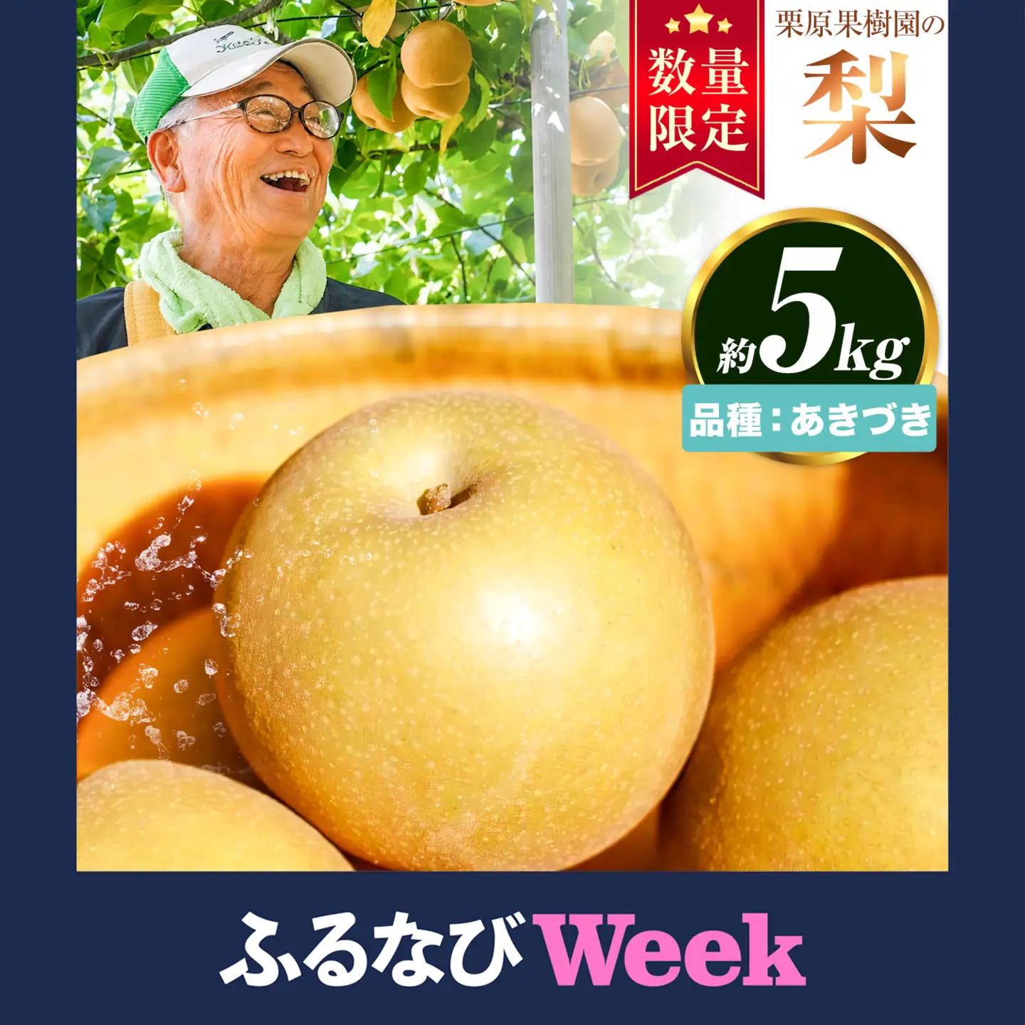 【ふるなびWEEK対象】栗原果樹園 梨 5kg  あきづき 《9月上旬-9月下旬頃出荷予定》なし梨フルーツ果物【配送不可地域あり】(離島)