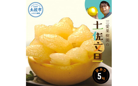 【先行予約】【訳あり】三愛果樹園の土佐文旦　約5kg / 土佐文旦 みかん 柑橘 ぶんたん ブンタン 果物 フルーツ 〈2027年2月上旬から順次発送〉【三愛果樹園】 [BQAO010]