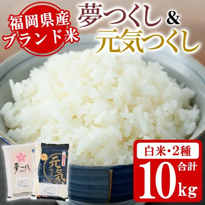 《白米》福岡県産米食べ比べセット「夢つくし」と「元気つくし」(2種計10kg・各5kg×1袋) 白米 米 お米 おこめ ごはん ご飯 常温 福岡県産 ブランド米 ゆめつくし げんきつくし 常温 常温保存 おにぎり おむすび お弁当 ライス【朝ごはん本舗】as05-083