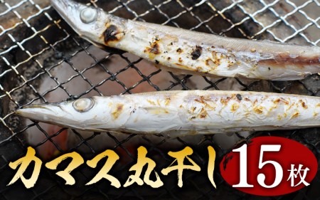 【丸干し 干物セット】カマス 丸干し 15枚セット 干物 ひもの セット 和歌山 家庭用【ben004】