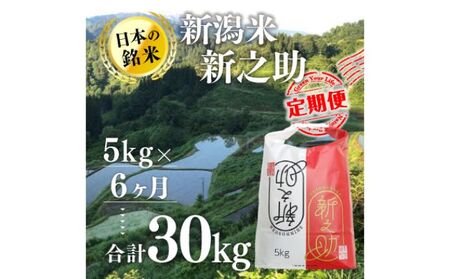 【6カ月定期便】新潟米新之助（精米）5kg お米 コメ 