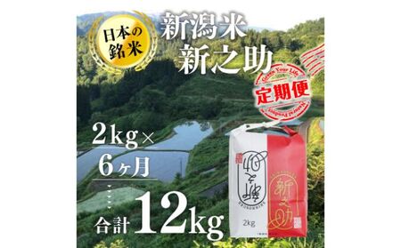 【6カ月定期便】新潟米新之助（精米）2kg お米 コメ 