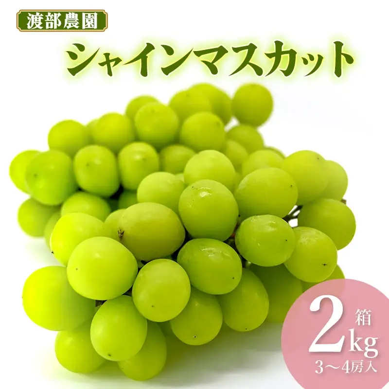 【令和8年産先行予約】 シャインマスカット 約2kg 箱 (3～4房)　山形県鶴岡市 渡部農園