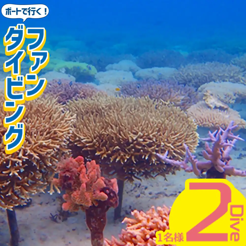 ボートで行く！ファンダイビング（2Dive）｜ダイビングレッスン ダイビングチケット ダイビング体験 沖縄ダイビング