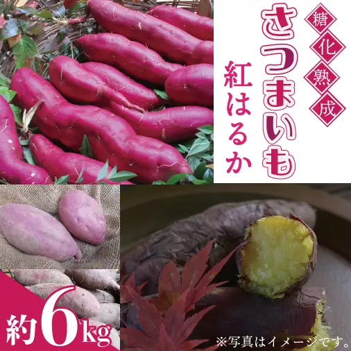 紅はるか 6kg さつまいも AU001-2