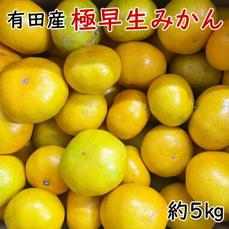 有田産極早生みかん約5kg（サイズ混合）★2026年10月中旬～2026年11月上旬頃順次発送【tec929A】