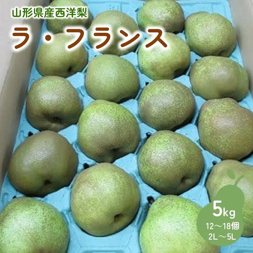 西洋梨（ラフランス）５ｋｇ　特秀・秀品混合　0110-2606