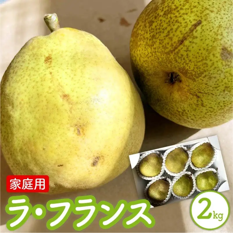 西洋梨（ラ・フランス）２ｋｇ　ご家庭用　0065-2605