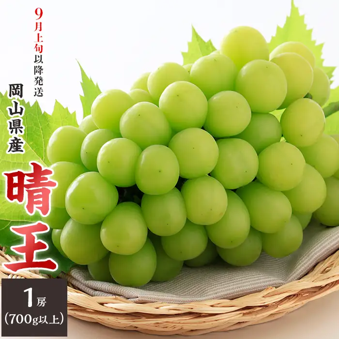 74-16 「晴王」1房（700g以上）【2026年9月上旬～10月上旬発送予定】